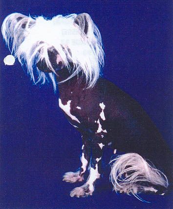 Fa Ya Chan-Na Du Gue De Launay