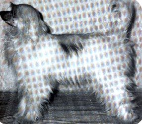 Gi Ya-Na du Gué de Launay