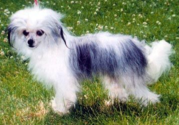 O'Kimono de Plessibellière