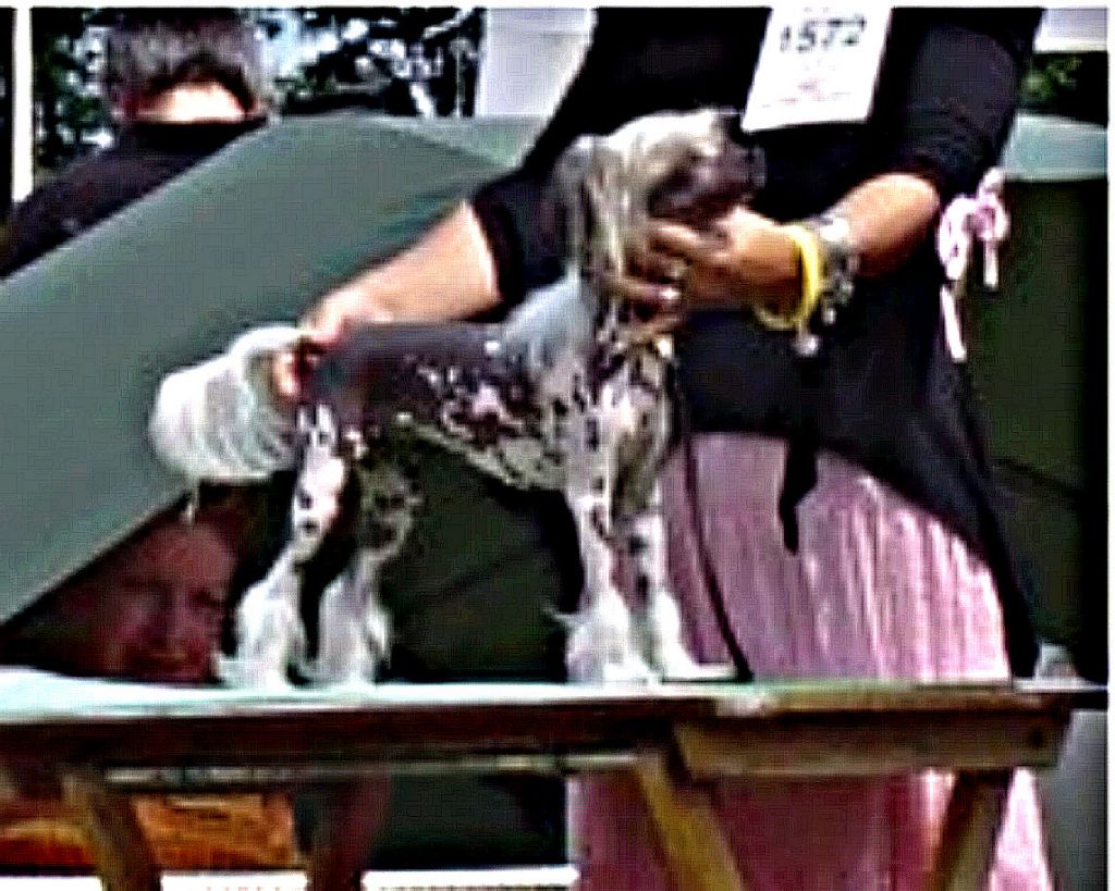 Special Edition See Me Be Flashy