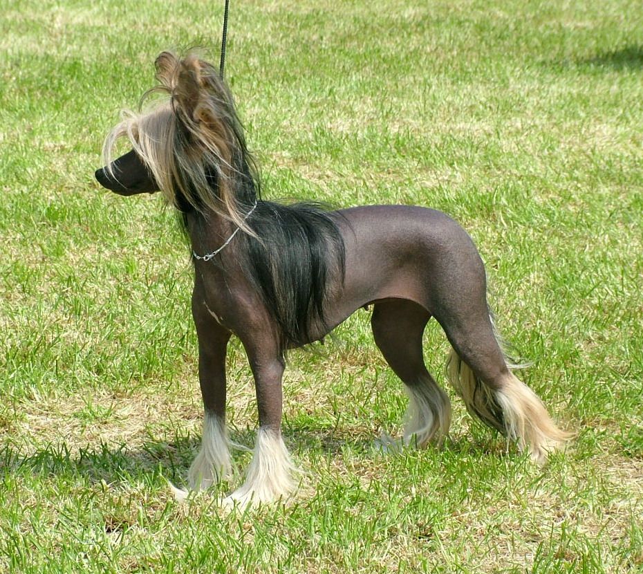  Sasquehanna Empressa