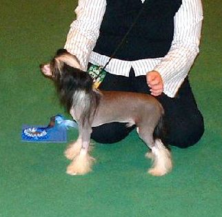 Maralou Too Hot To Handle