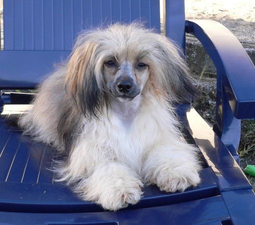 Gabi z Kamilova dvora