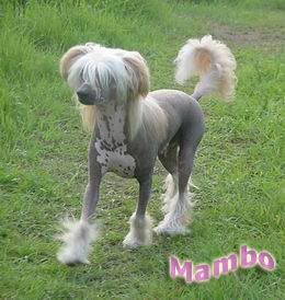 Newbourne Look Don't Touch