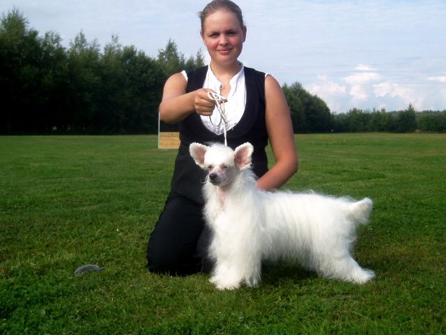 Mocci'z Pride of Islay