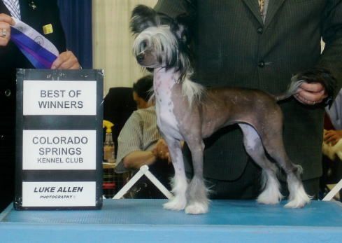 Chars Don't Tell My Mother