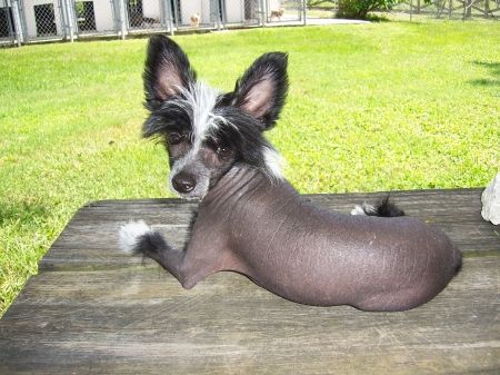 Bayshore Analyze That