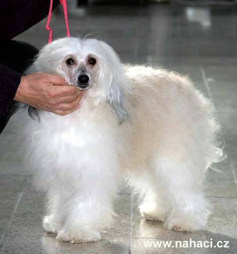 F'Haroceah Noah Mahtob 