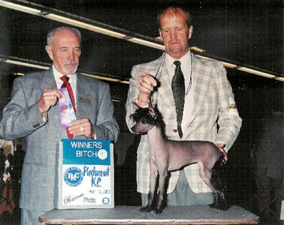 Robrex's Ya Da Ya Da Ya Da