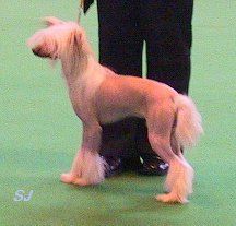 Tenwitz Rainbow Rhyme