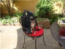 Special Edition China Boy