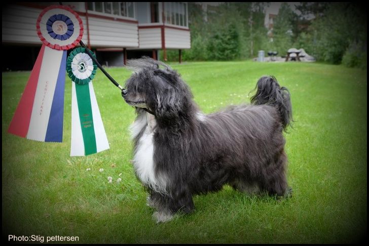 House Of Fun's Baroness Dilva