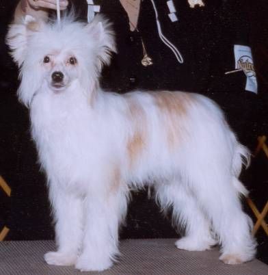 C-Cruz simply irresistable