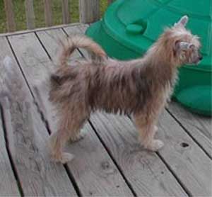 Earlylite Paint The Town Red