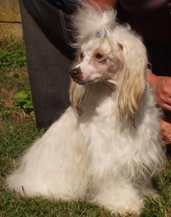 Ala Bala Nino de la Calle