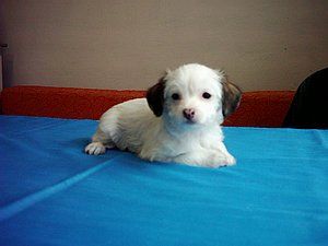 April Sun Nino de la Calle