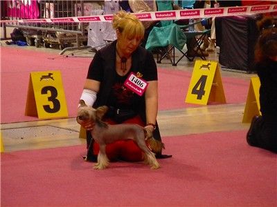 Hugh Grant de GabriTho