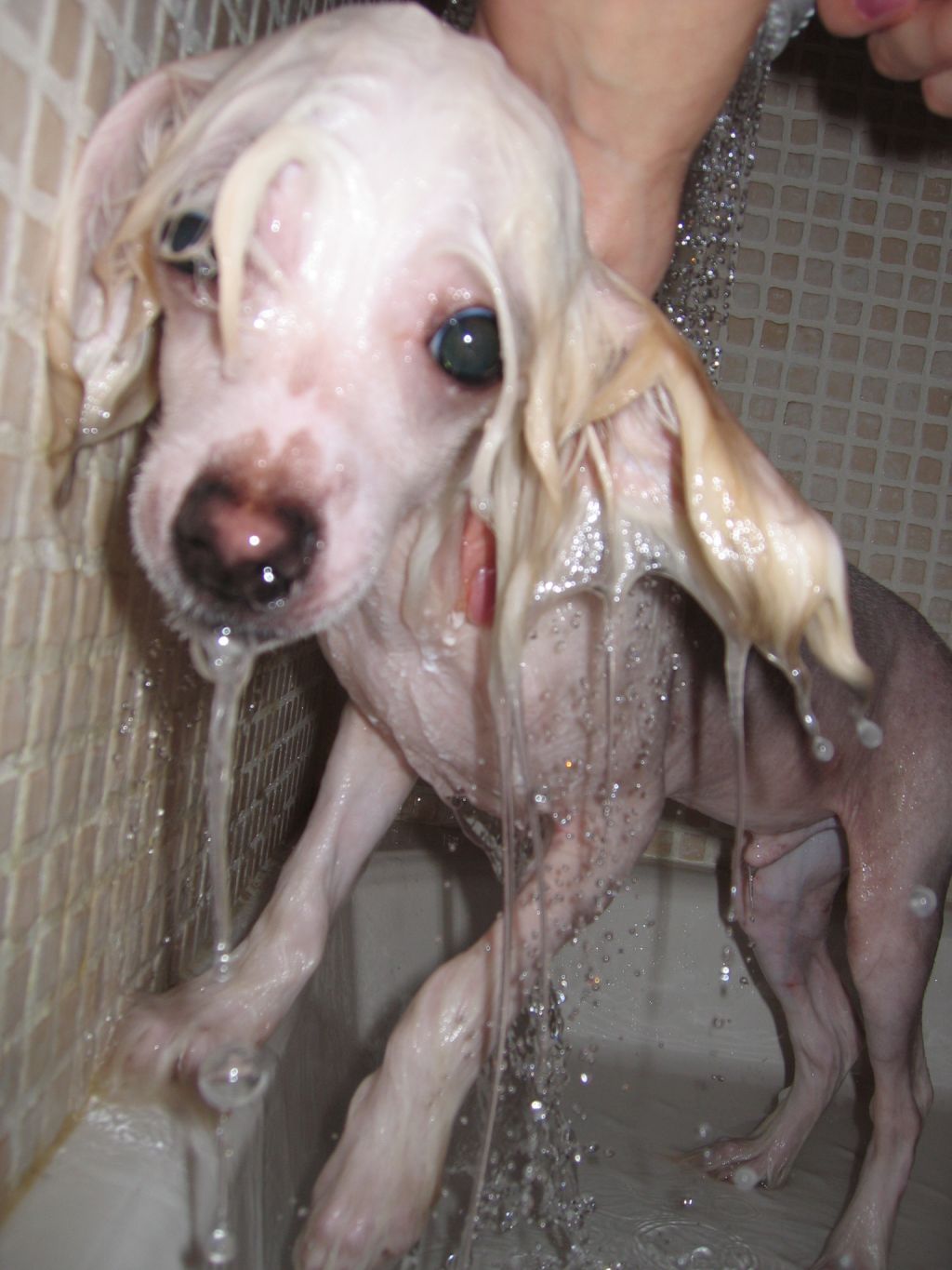 Easy For Mady's Love