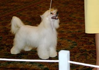  Whisper Ln' Guilt By Association