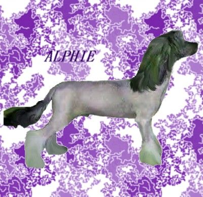 Mosaic Silver Spirit of Texas