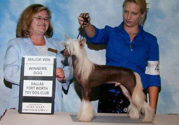 Spiritual D'artagnan