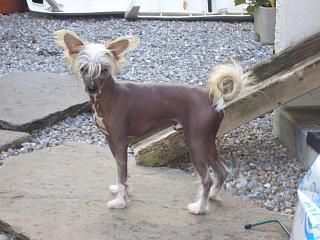 Yukon Fantasy Island