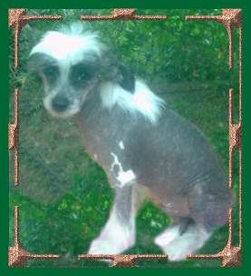 First-Floyd-Fernando vom Erfurter Dom