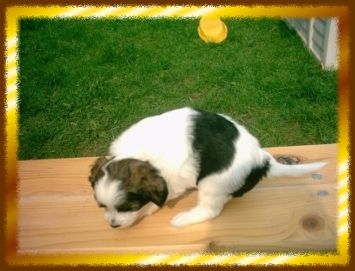 Focus-Finest-Selection vom Erfurter Dom