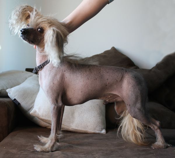 Kuminaaman Deep Blue Sea