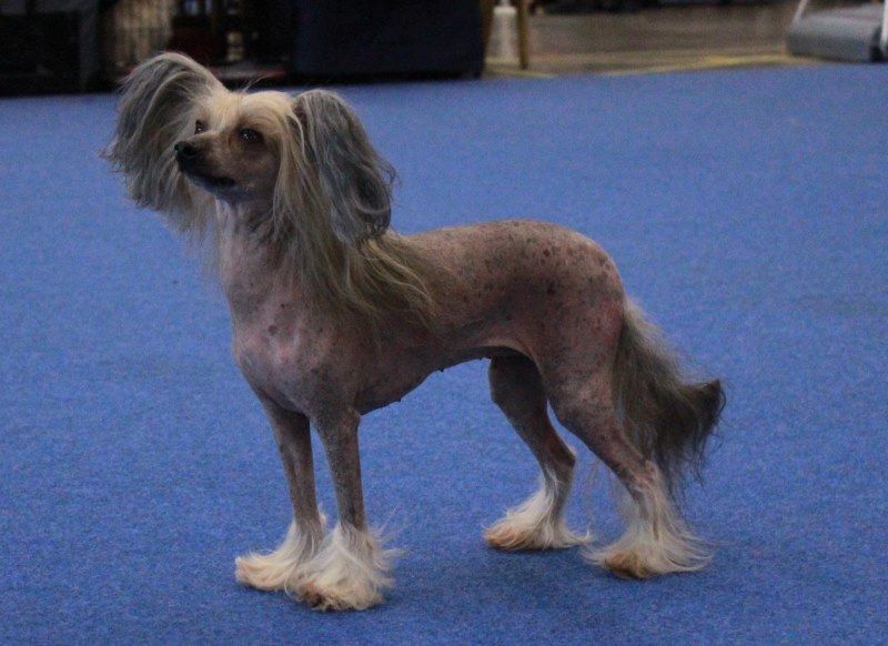 Kuminaaman Donovan's Reef