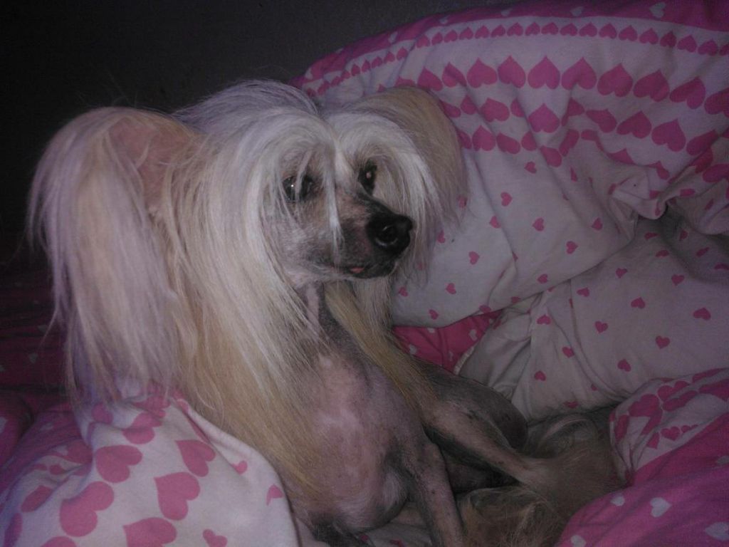 Angel Look Admirable Boy