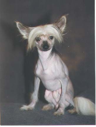 Sasquehanna Doktrynier