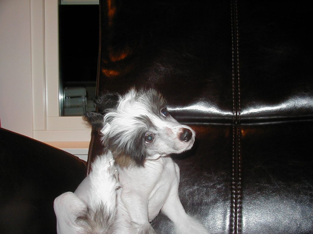 CoPlenty's Abraham Gandhi