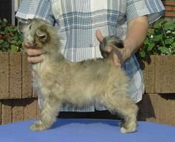 Elisa du Galop du Globe