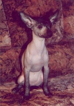 Russkoe Sokrovishe Andora