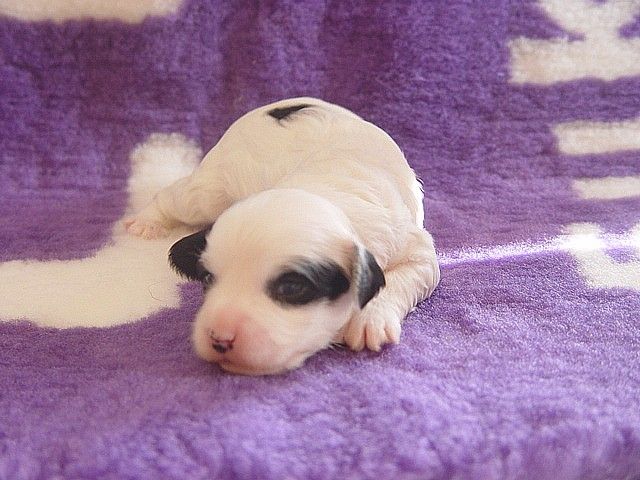 Exotic Dancer For Mady's Love