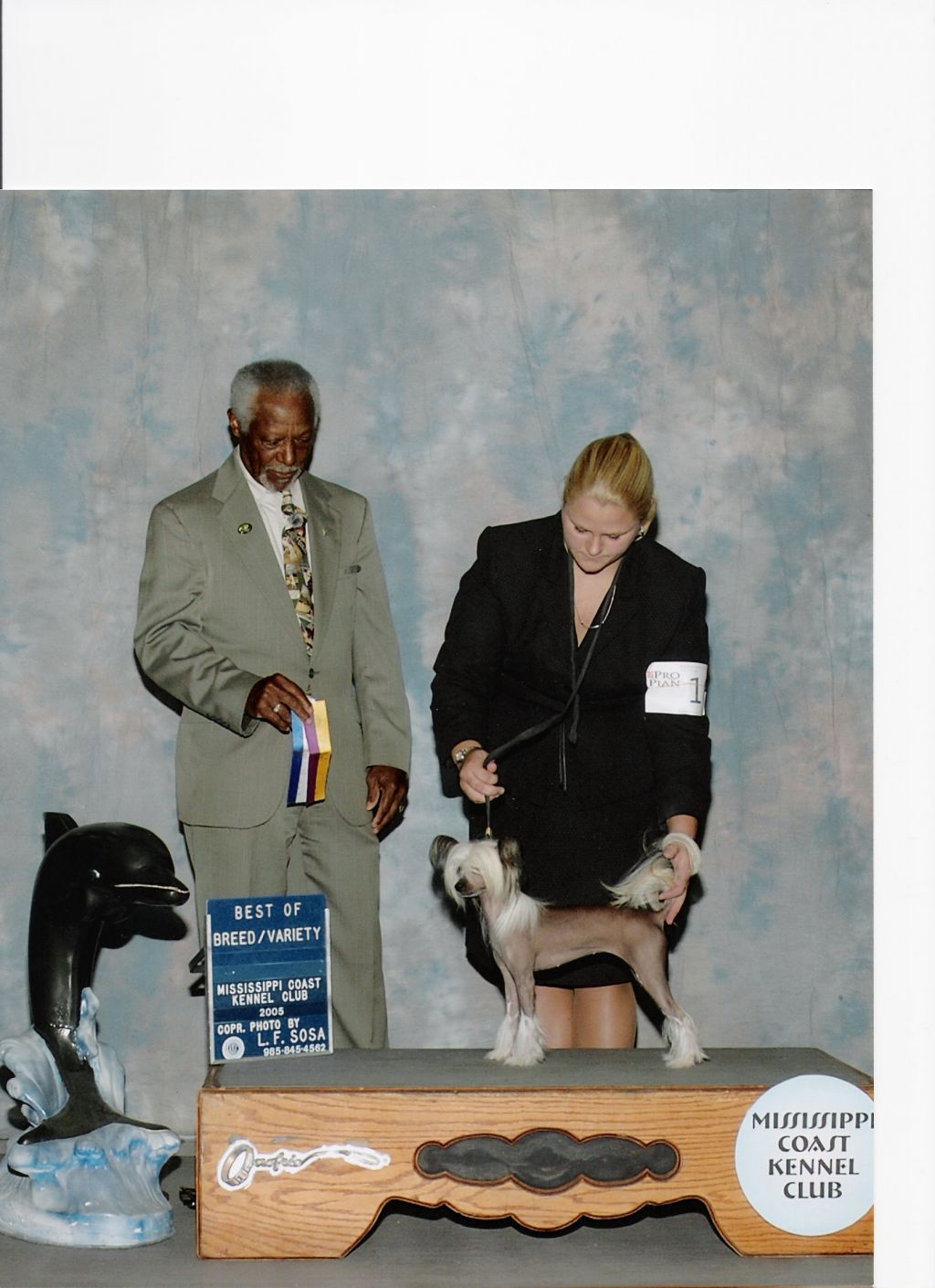 Mazoch's Angel In Disguise