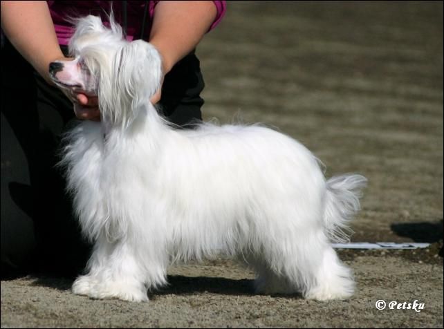 Sun Dan Keep The Faith