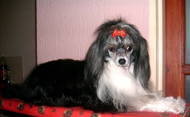 Roxanne Everet Herbu Bawaria