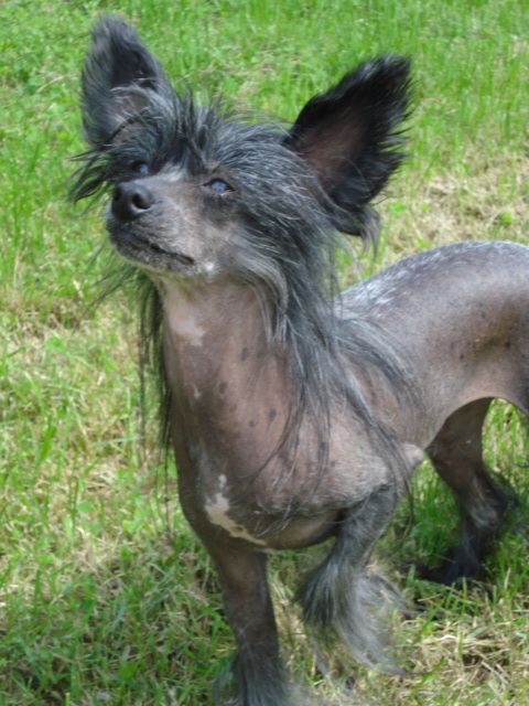 Spiritual Hot Property