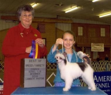 Kalypso's Kase Klosed