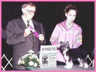 Ponytale's Sky Walker