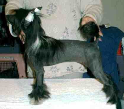 Whisper LN Gotcha Tell N Lies