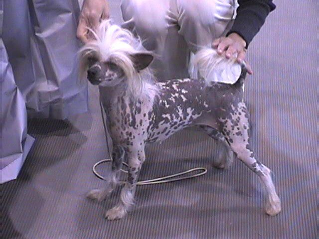 Honore's Missundaztood