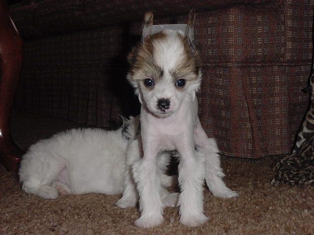 Lesmars Heir to the Throne