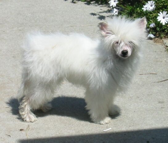 Kazlyn Cloud Inth Sky