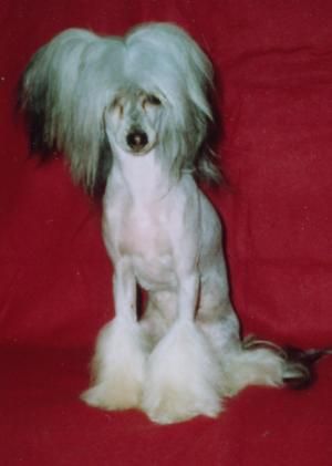 Adriana Ze Zatopene chajdy