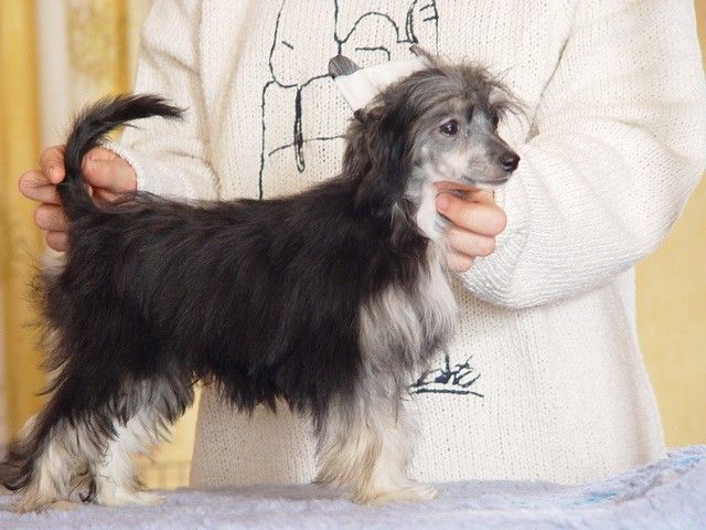 Ermione For Mady's Love