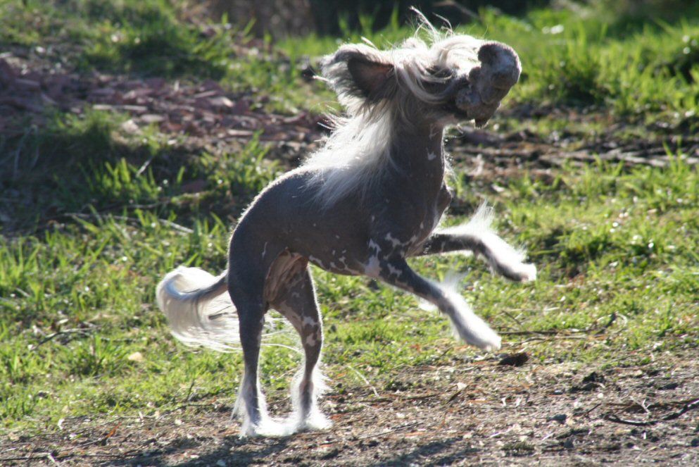 Local Hero's Rinahbelle