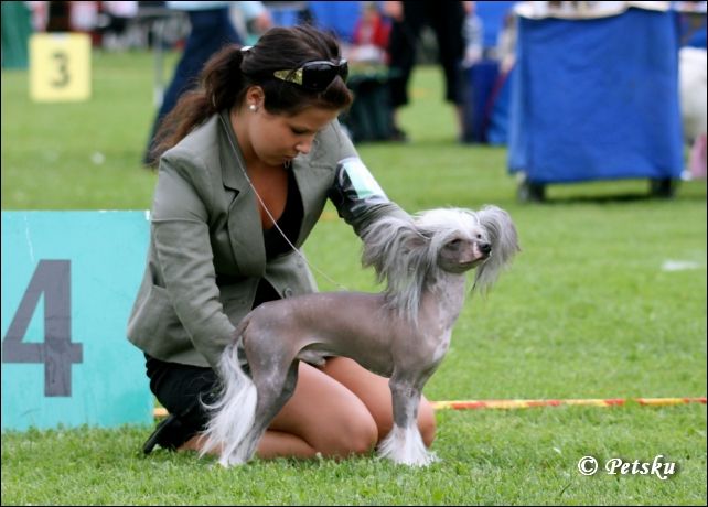 Zorrazo Duke of Hazzard